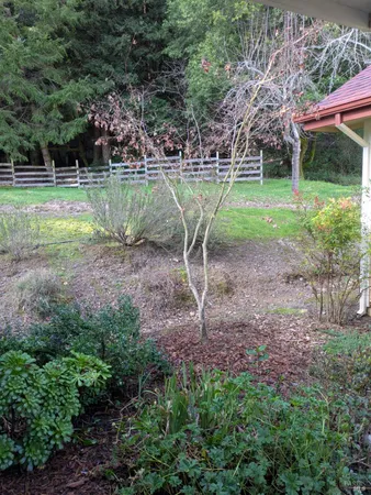 $725,000 | 14639 Jomark Lane, Occidental, CA 95465