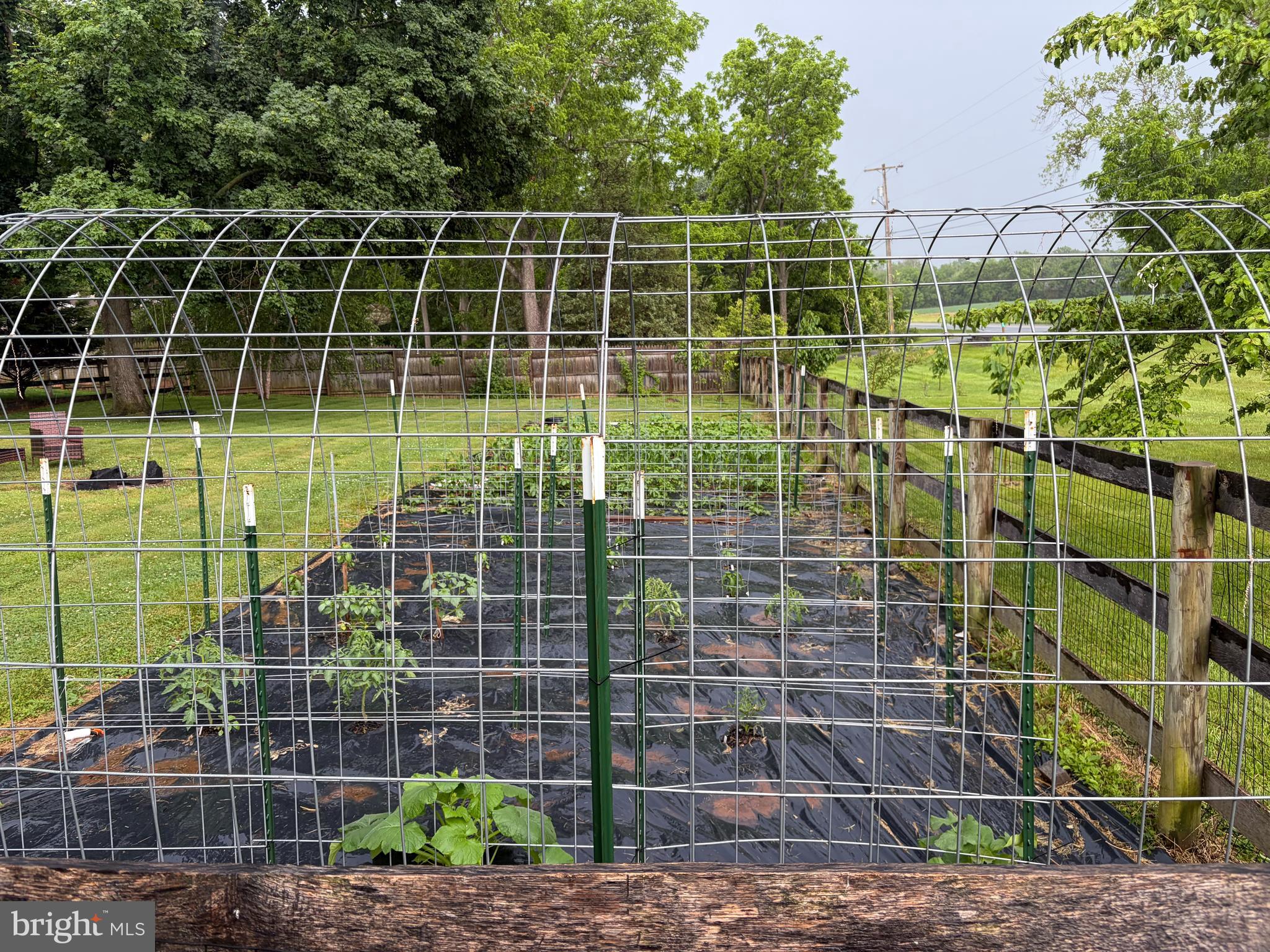 1935 Trevanion Road Taneytown, MD 21787 - Photo 48 of 62 Lush Garden