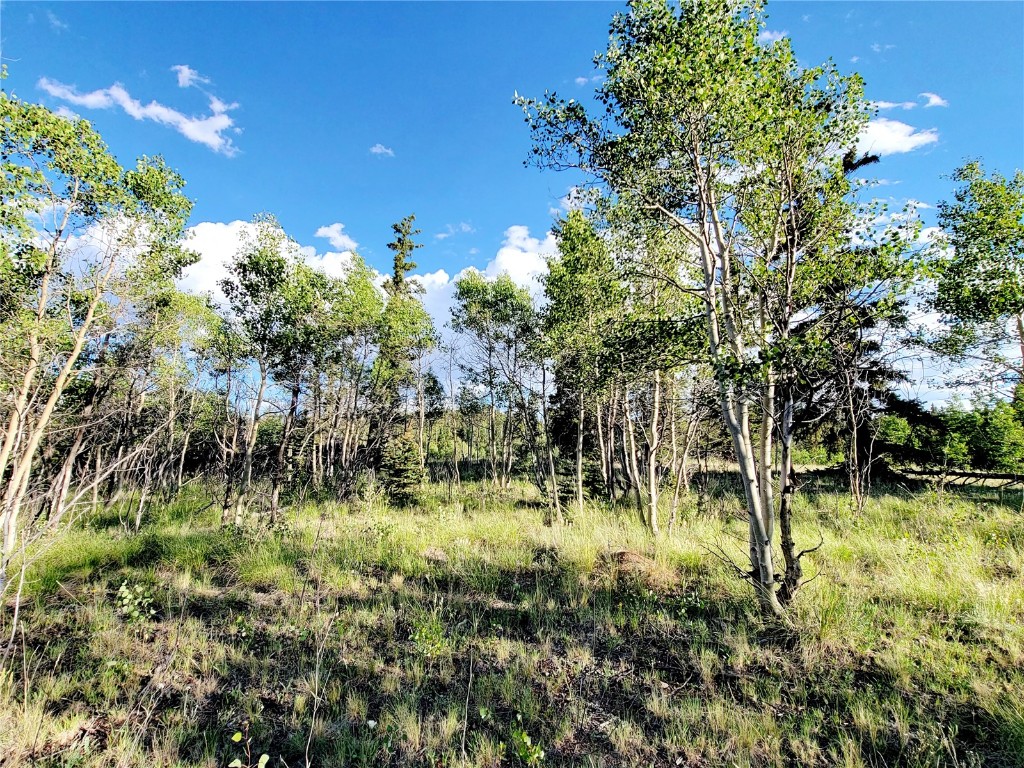 62 Shoshone Drive Como, CO 80432 - Photo 12 of 14