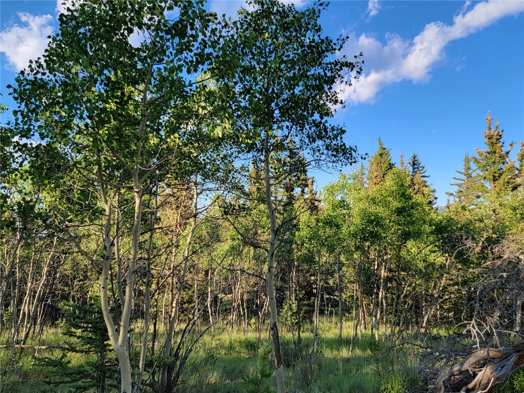 62 Shoshone Drive Como, CO 80432 - Photo 6 of 14 a view of a yard
