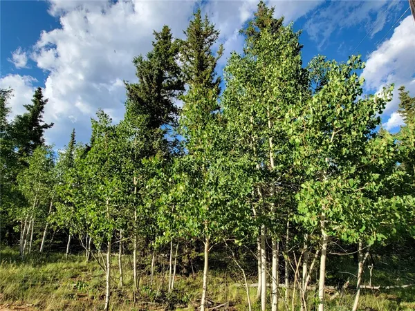 a view of a yard with plants