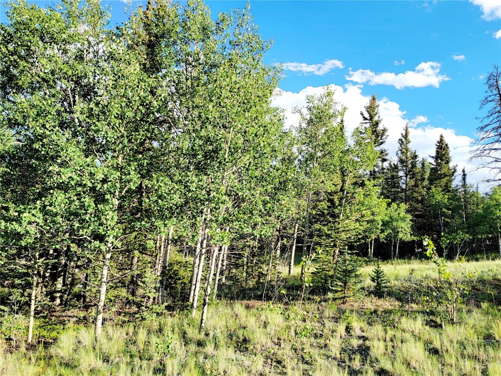 62 Shoshone Drive Como, CO 80432 - Photo 8 of 14 a view of a garden