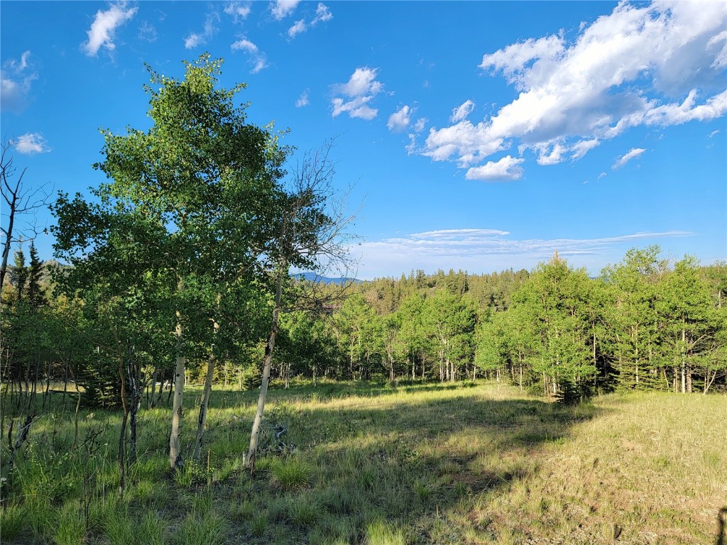 62 Shoshone Drive Como, CO 80432 - Photo 9 of 14 a view of a big yard with swimming pool and green space
