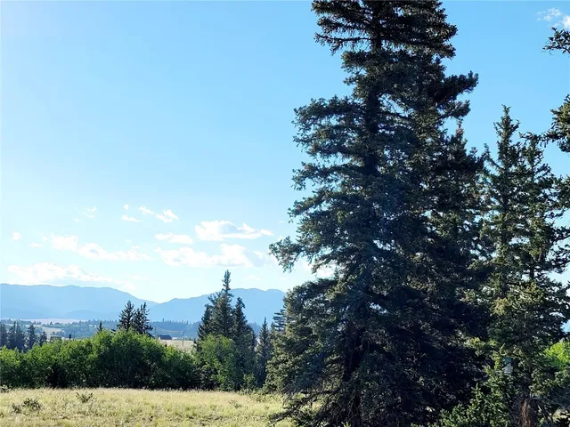 a view of a tree with a yard