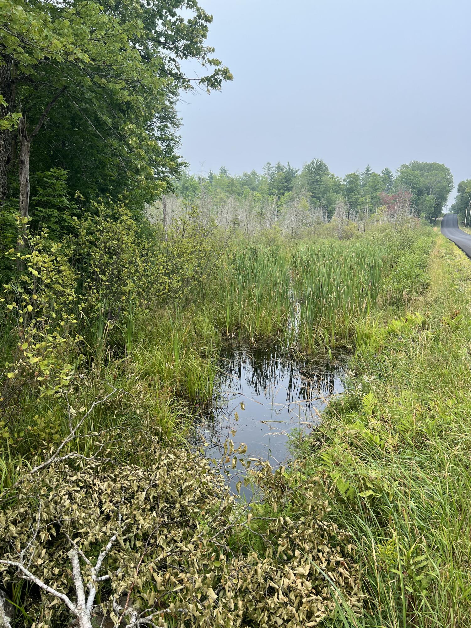 44 Downs Road Sebec, ME 04481 - Photo 50 of 50 IMG_6467