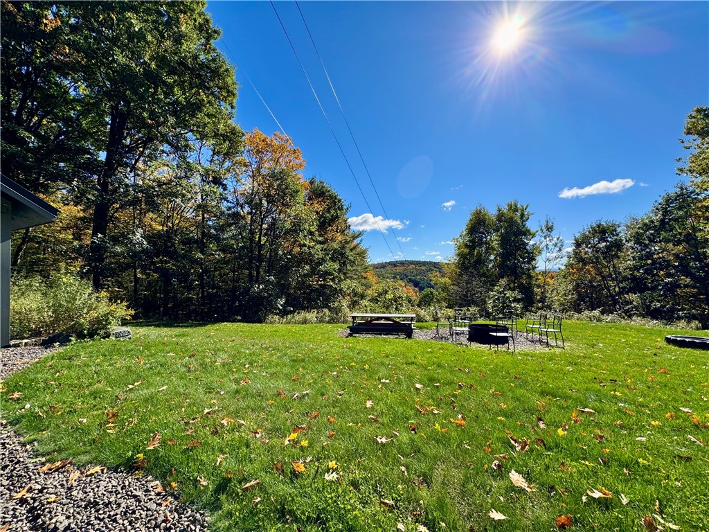 335-339 Arnold Lake Road Hartwick, NY 13807 - Photo 30 of 35 Gallery Image 30