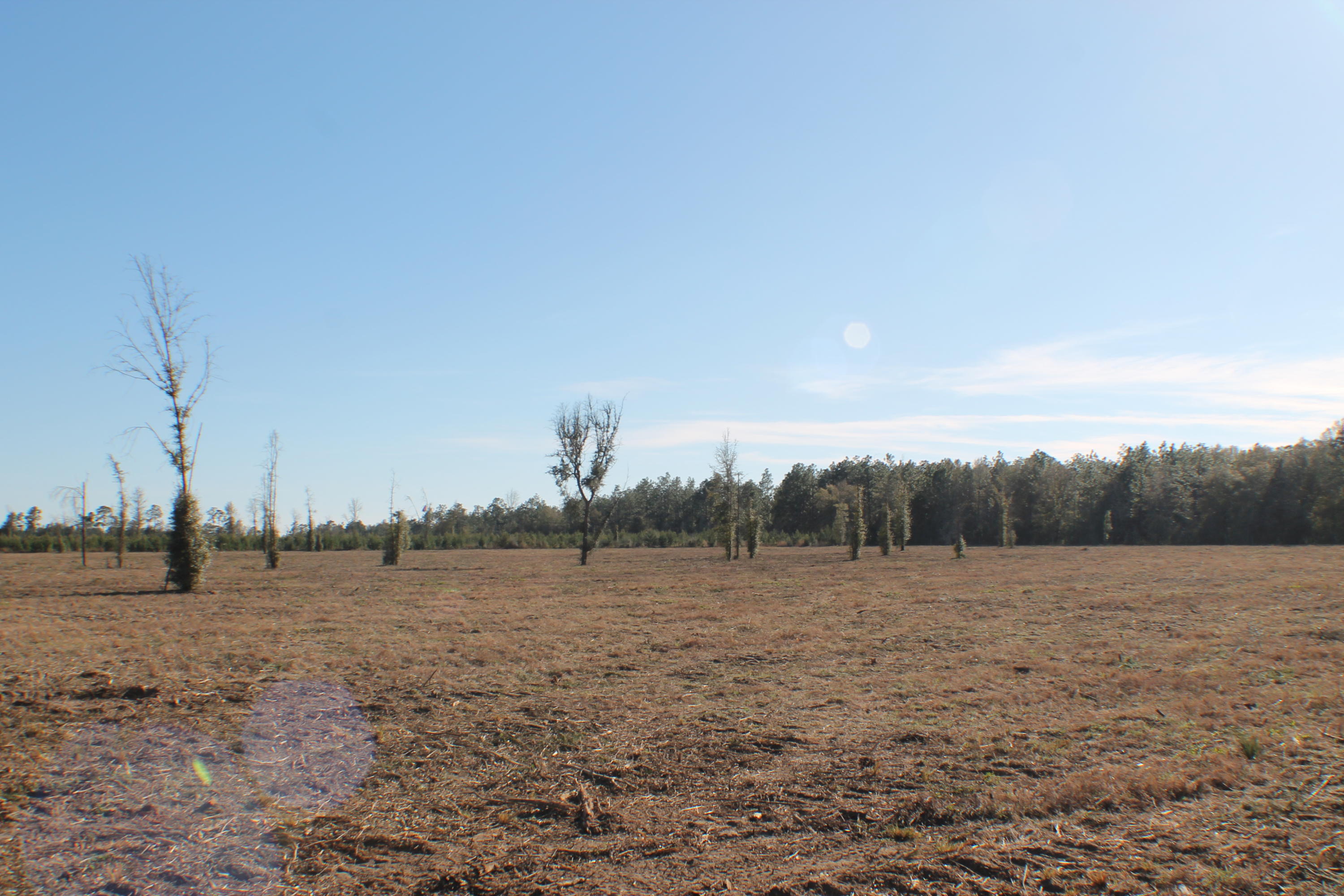 5.08-ac Outlook Road Milton, FL 32583 - Photo 10 of 14 IMG_3313