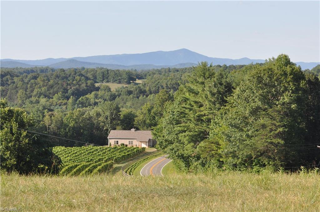 542 Golden Road State Road, NC 28676 - Photo 11 of 30 Gallery Image 11