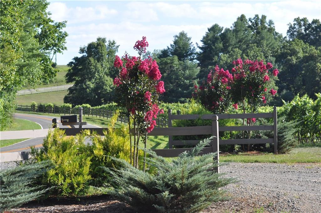 542 Golden Road State Road, NC 28676 - Photo 13 of 30 Gallery Image 13