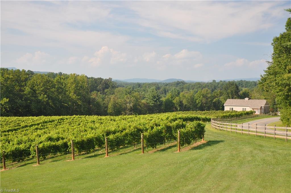 542 Golden Road State Road, NC 28676 - Photo 14 of 30 Gallery Image 14
