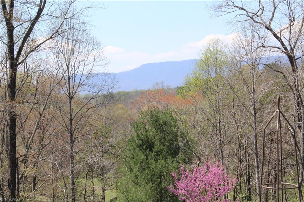 542 Golden Road State Road, NC 28676 - Photo 20 of 30 Gallery Image 20