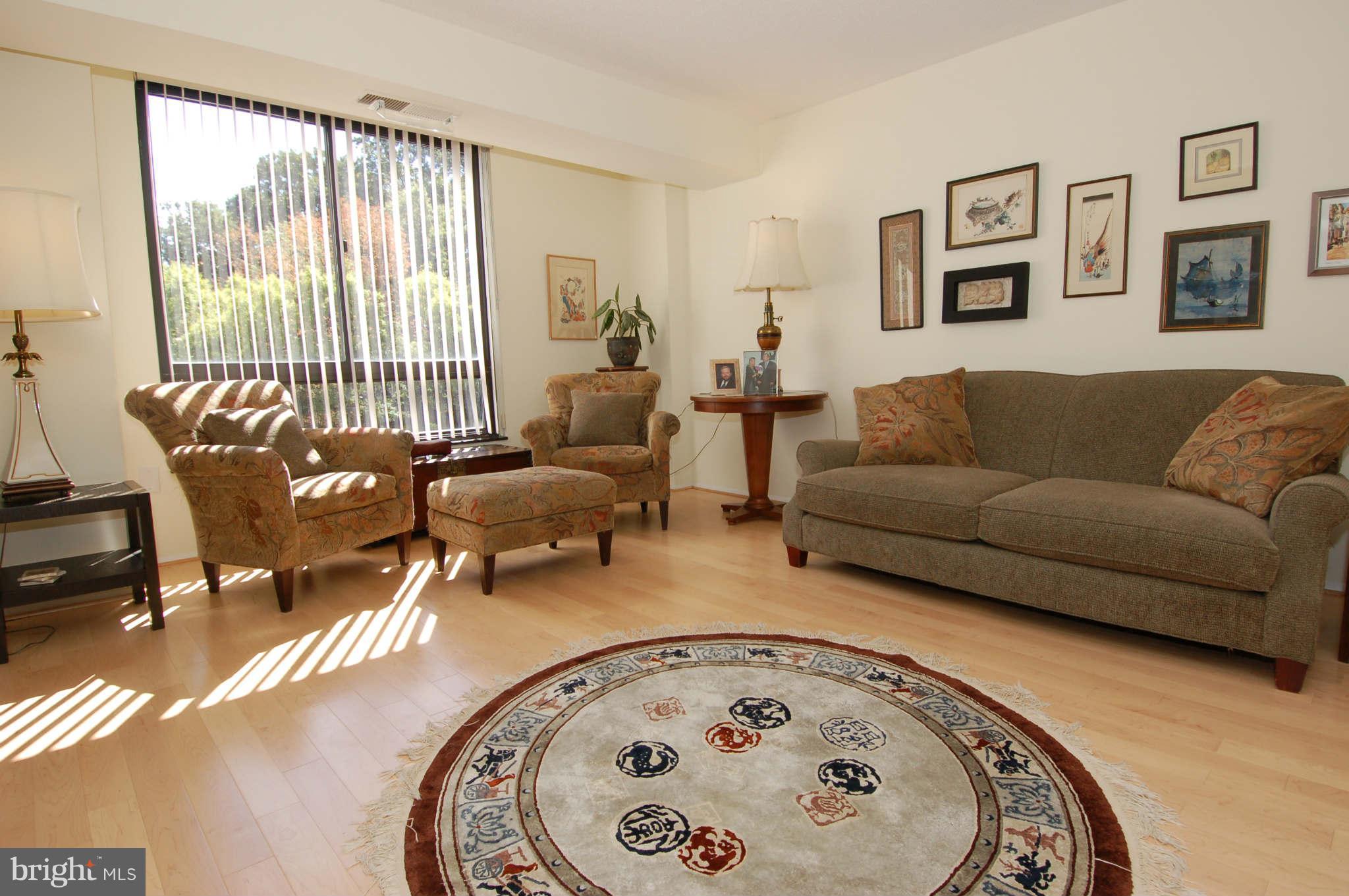 1808 Old Meadow Road, Unit 312 McLean, VA 22102 - Photo 2 of 29 Living Room
