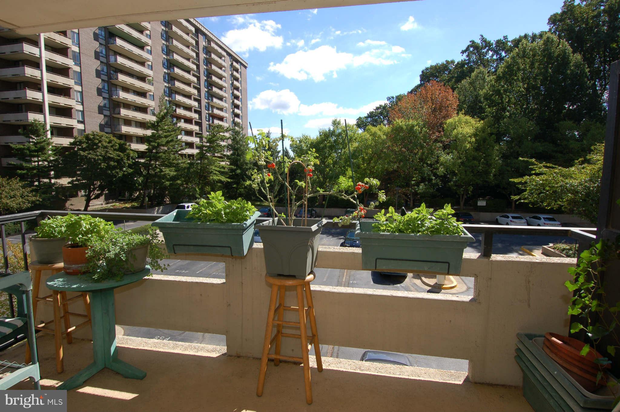 1808 Old Meadow Road, Unit 312 McLean, VA 22102 - Photo 16 of 29 View