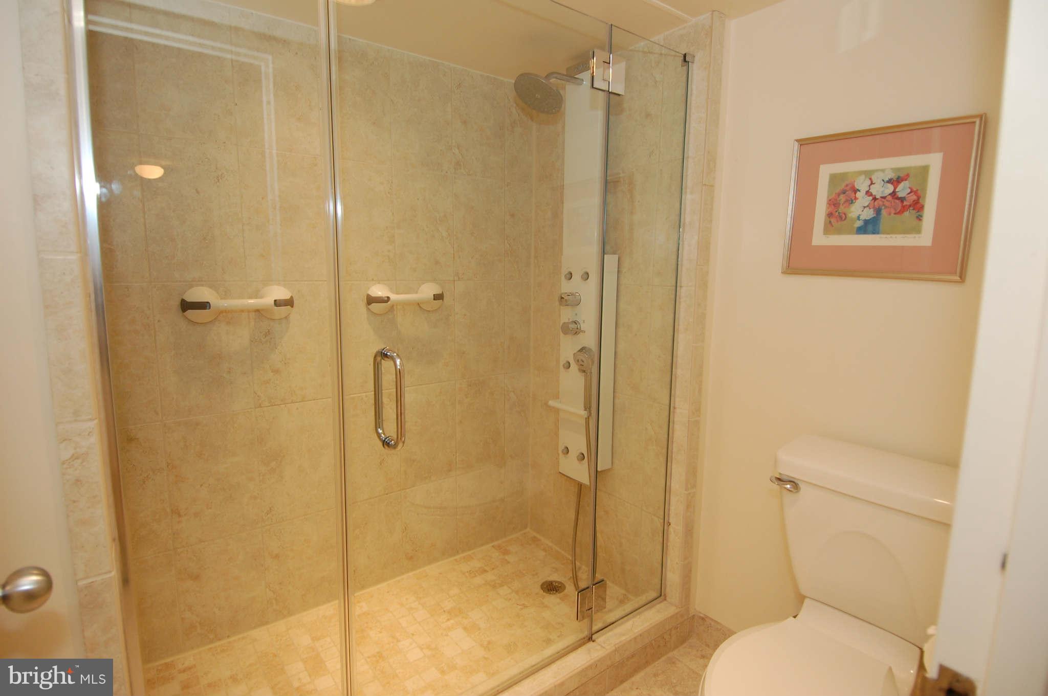 1808 Old Meadow Road, Unit 312 McLean, VA 22102 - Photo 21 of 29 Bath (Master)