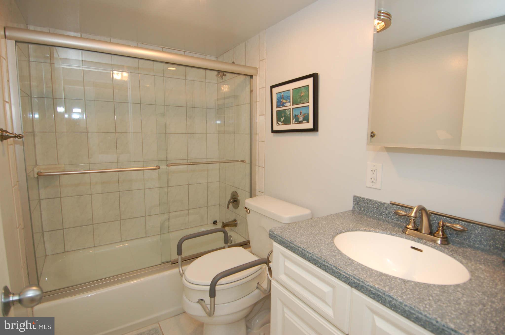 1808 Old Meadow Road, Unit 312 McLean, VA 22102 - Photo 23 of 29 Bath