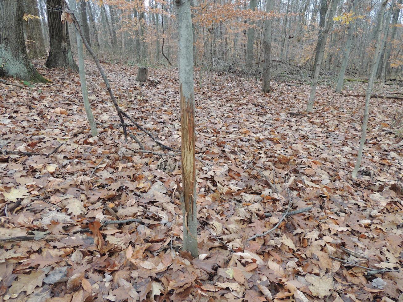 0 Via-Ken Road Hopewell, OH 43746 - Photo 1 of 22