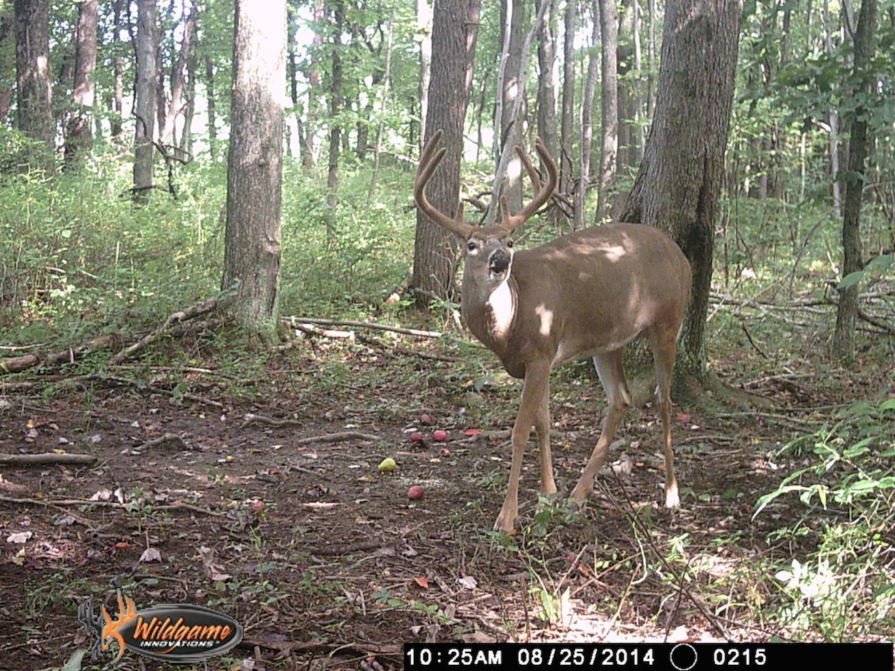 0 Via-Ken Road Hopewell, OH 43746 - Photo 15 of 22