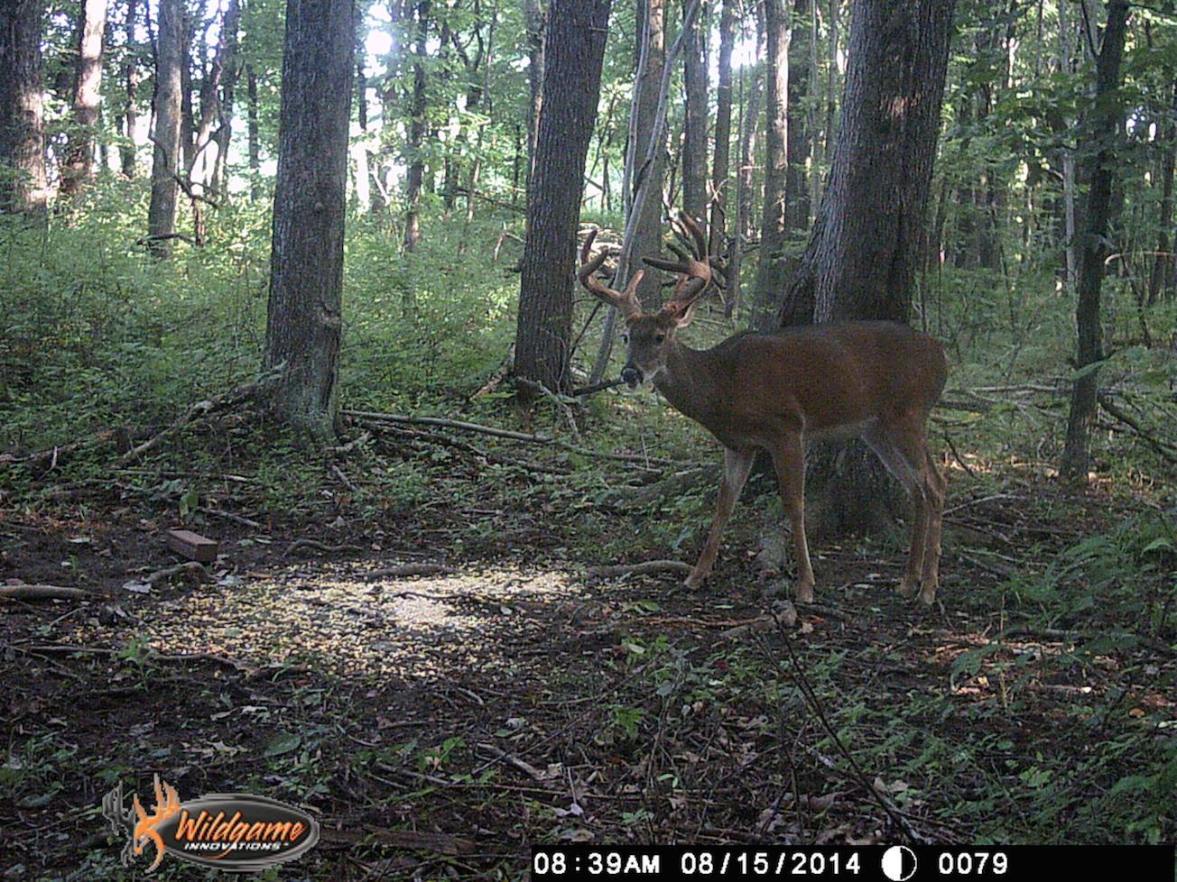 0 Via-Ken Road Hopewell, OH 43746 - Photo 17 of 22