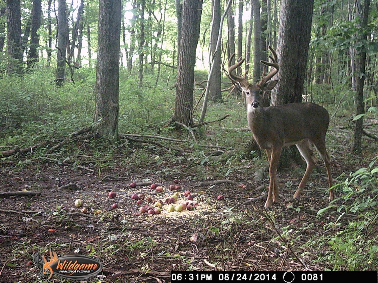 0 Via-Ken Road Hopewell, OH 43746 - Photo 18 of 22