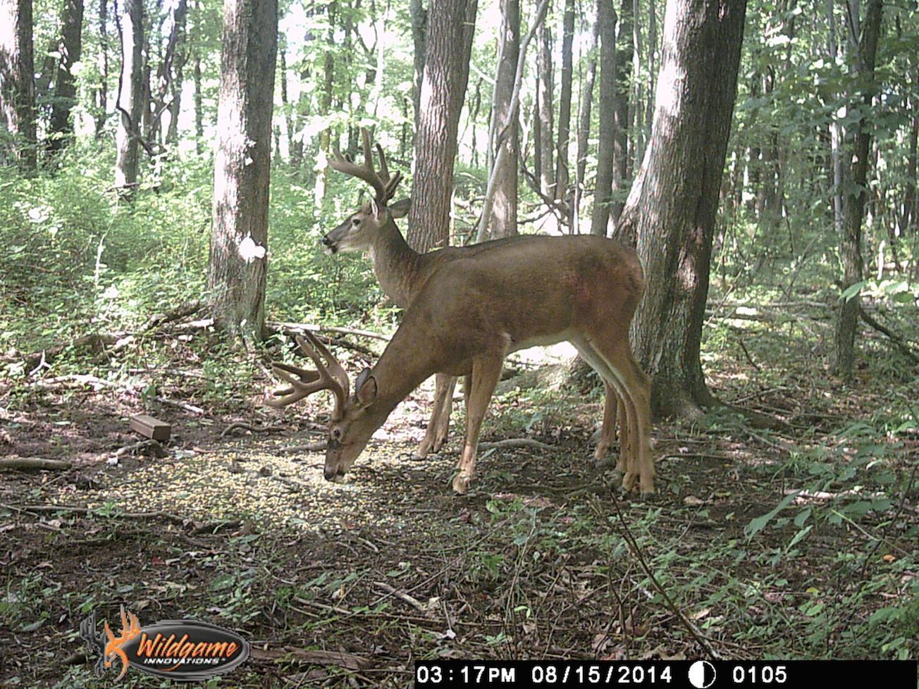 0 Via-Ken Road Hopewell, OH 43746 - Photo 19 of 22