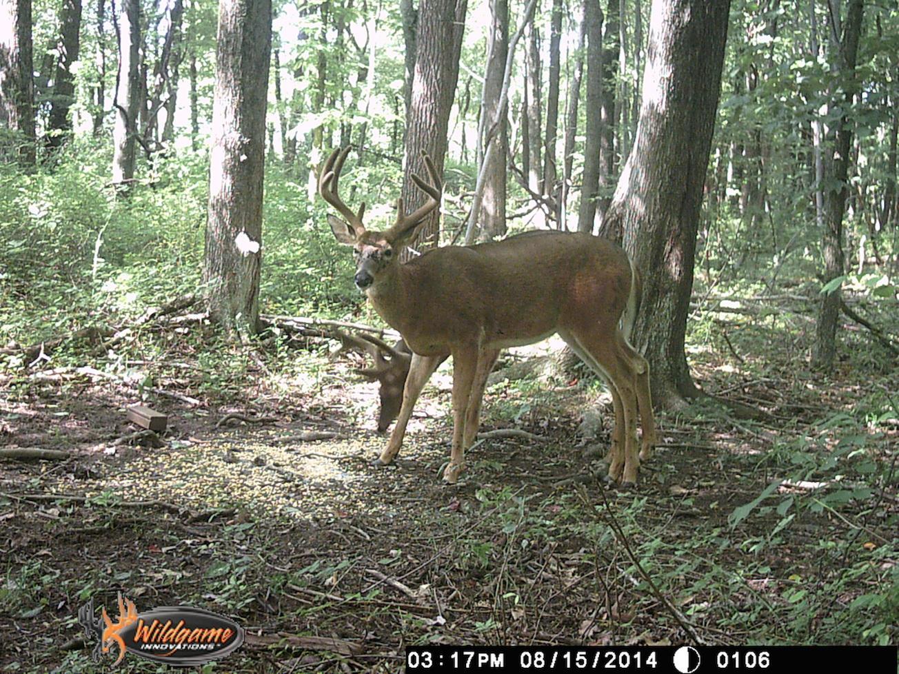 0 Via-Ken Road Hopewell, OH 43746 - Photo 20 of 22