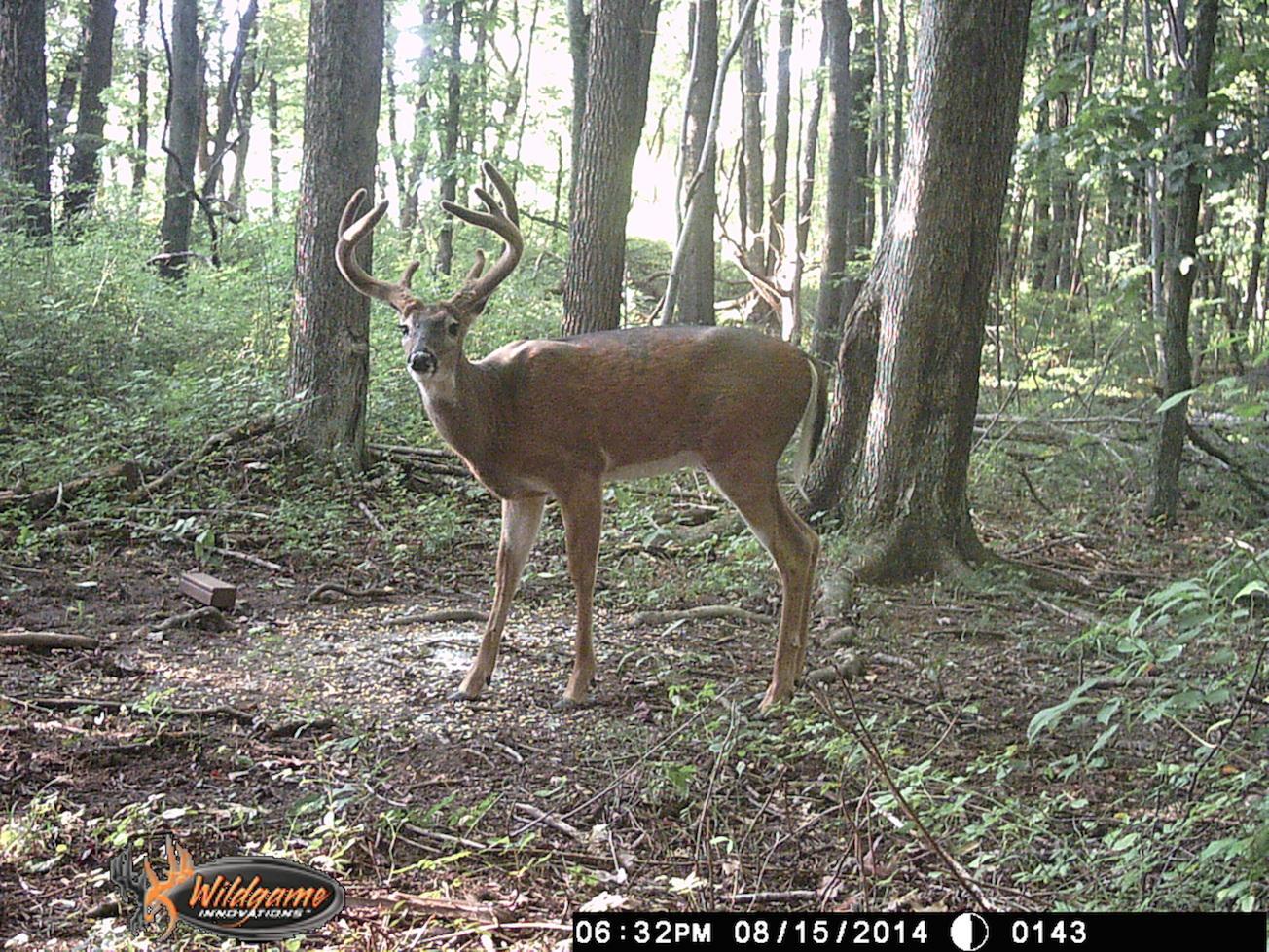 0 Via-Ken Road Hopewell, OH 43746 - Photo 21 of 22