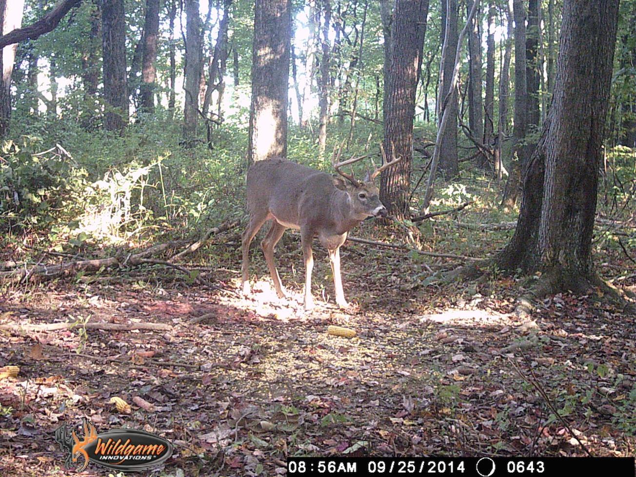 0 Via-Ken Road Hopewell, OH 43746 - Photo 22 of 22