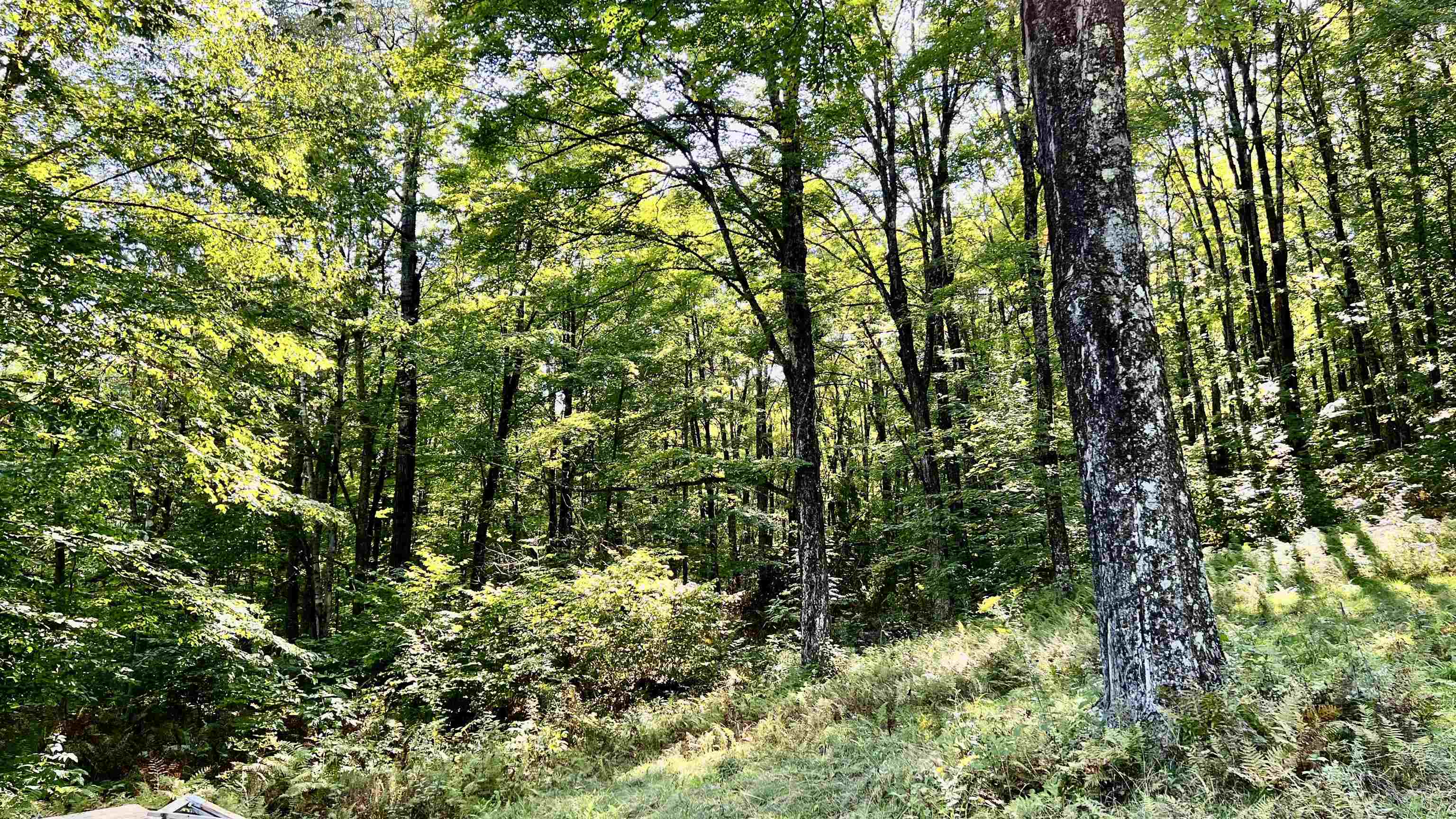 2075 Codding Hollow Road Johnson, VT 05656 - Photo 48 of 59