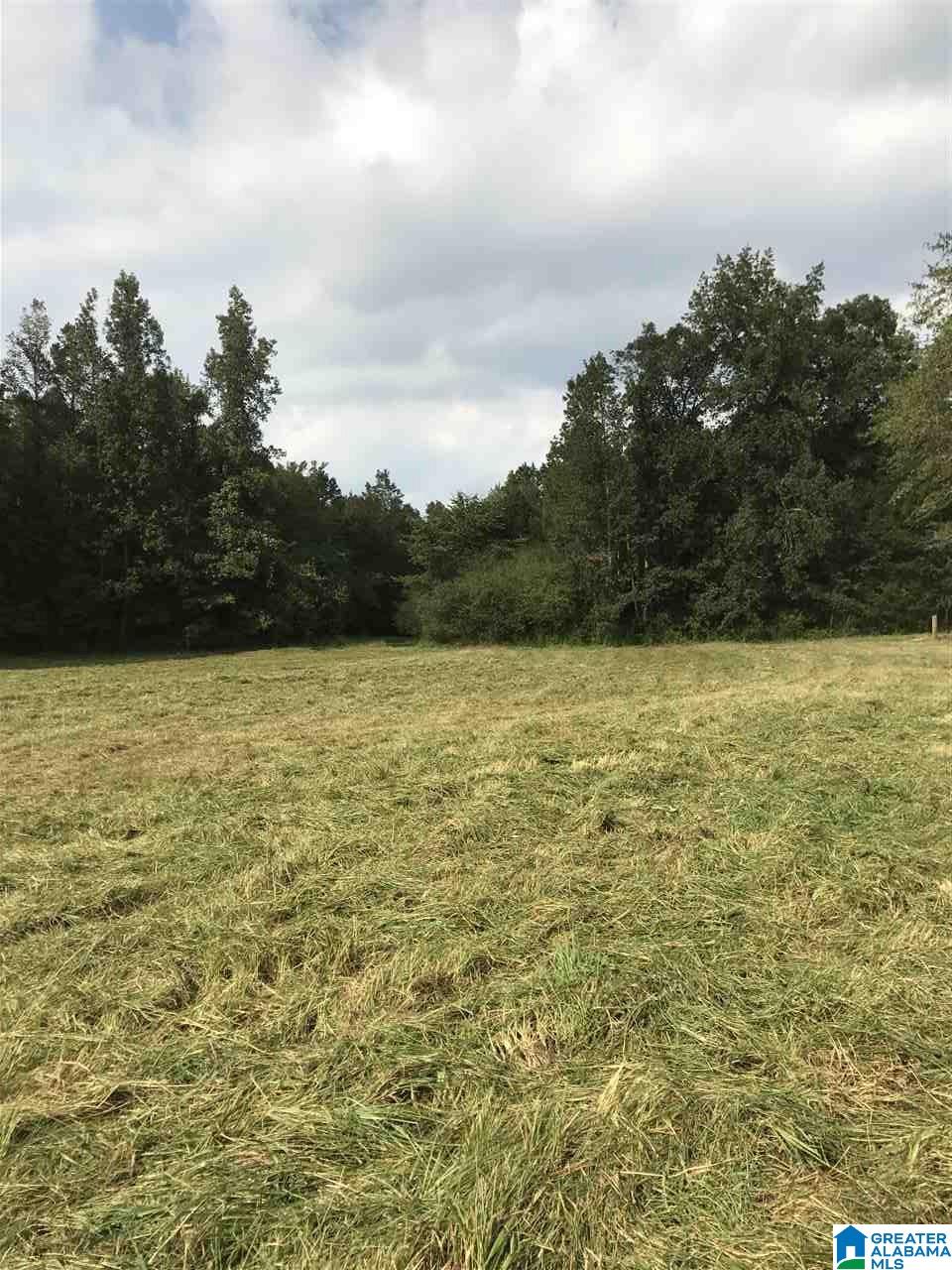 516 County Road Woodland, AL 36280 - Photo 4 of 22