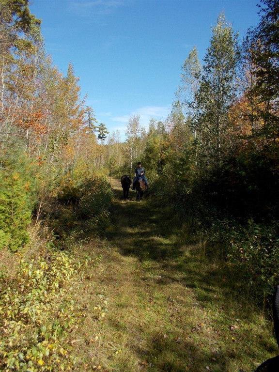3176 Bennoch Road Alton, ME 04468 - Photo 12 of 31 ATV trails behind the home make the...