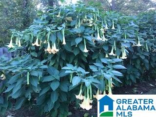6527 Hawks Place Leeds, AL 35094 - Photo 38 of 39