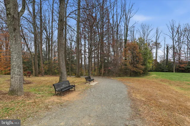 a view of a field with trees in the background