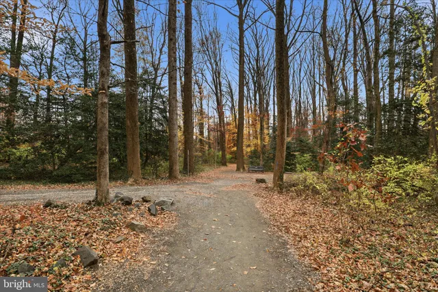 a view of a tennis court