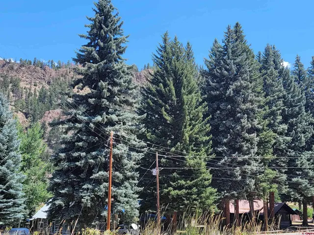 a view of a yard with plants and a trees