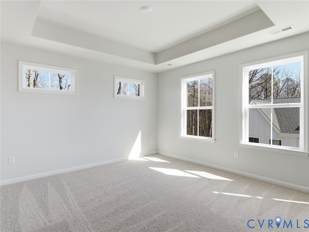 103 This Way Midlothian, VA 23114 - Photo 9 of 23