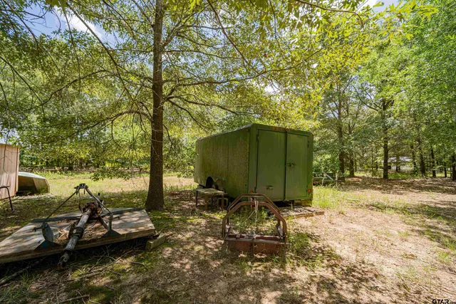a view of a backyard with plants and a large tree