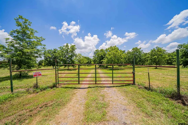 a view of a garden with an outdoor space