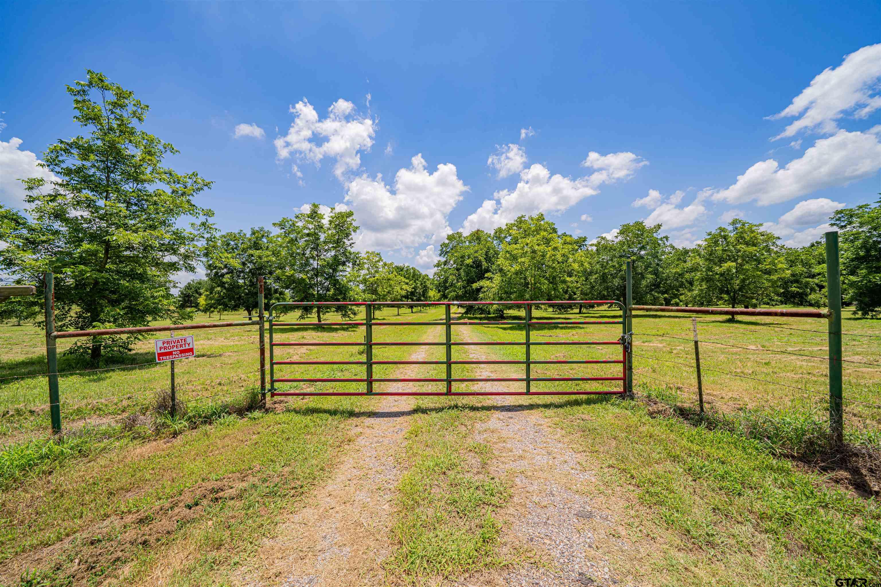 4510 Cr 2010 Mount Mount Vernon, TX 75457 - Photo 18 of 44 a view of a garden with an outdoor space
