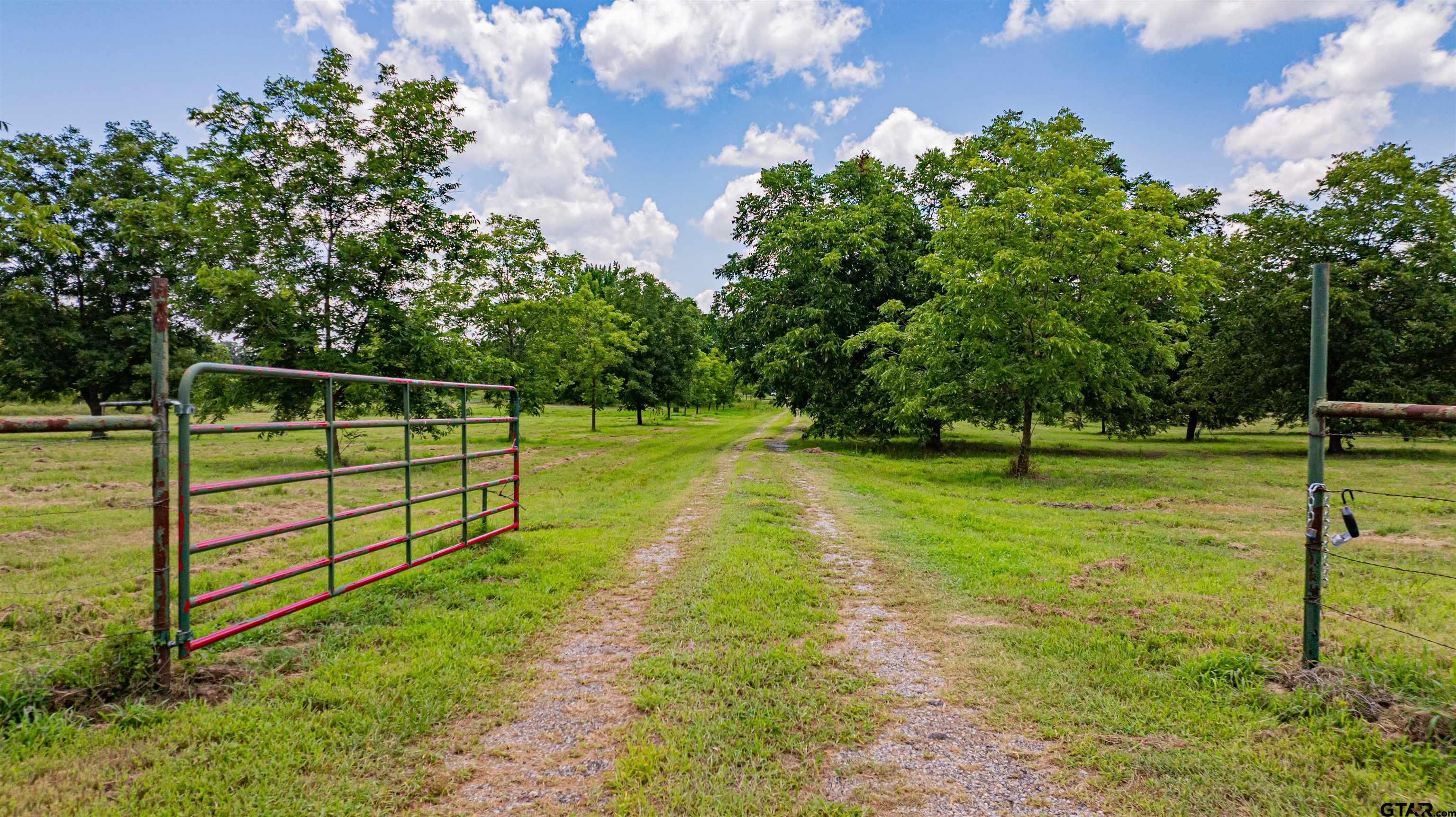 4510 Cr 2010 Mount Mount Vernon, TX 75457 - Photo 19 of 44 a view of a park with large trees