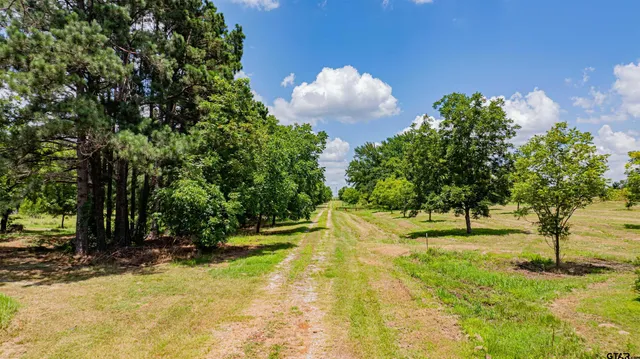 a view of a yard with a tree