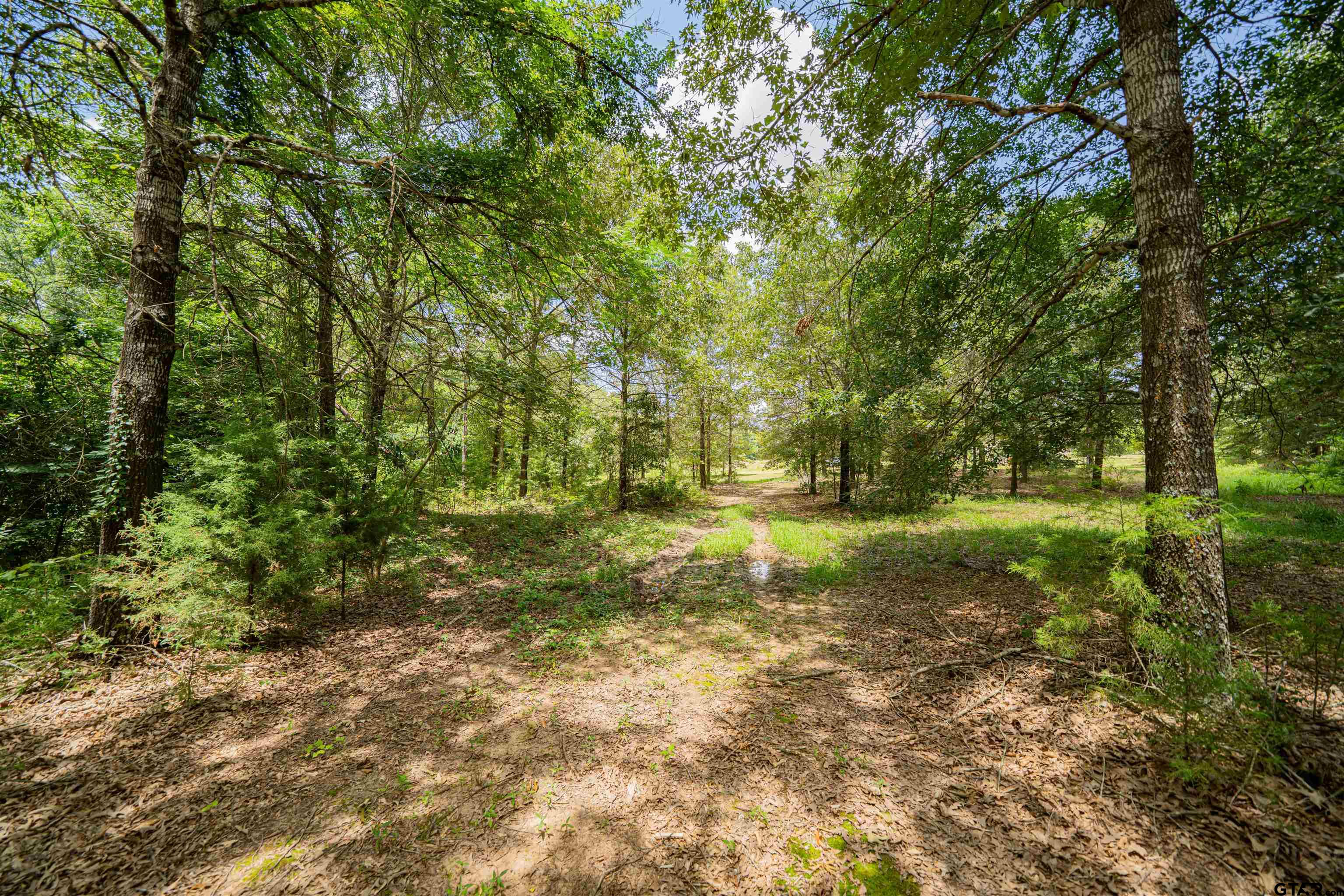 4510 Cr 2010 Mount Mount Vernon, TX 75457 - Photo 21 of 44 a view of yard with green space