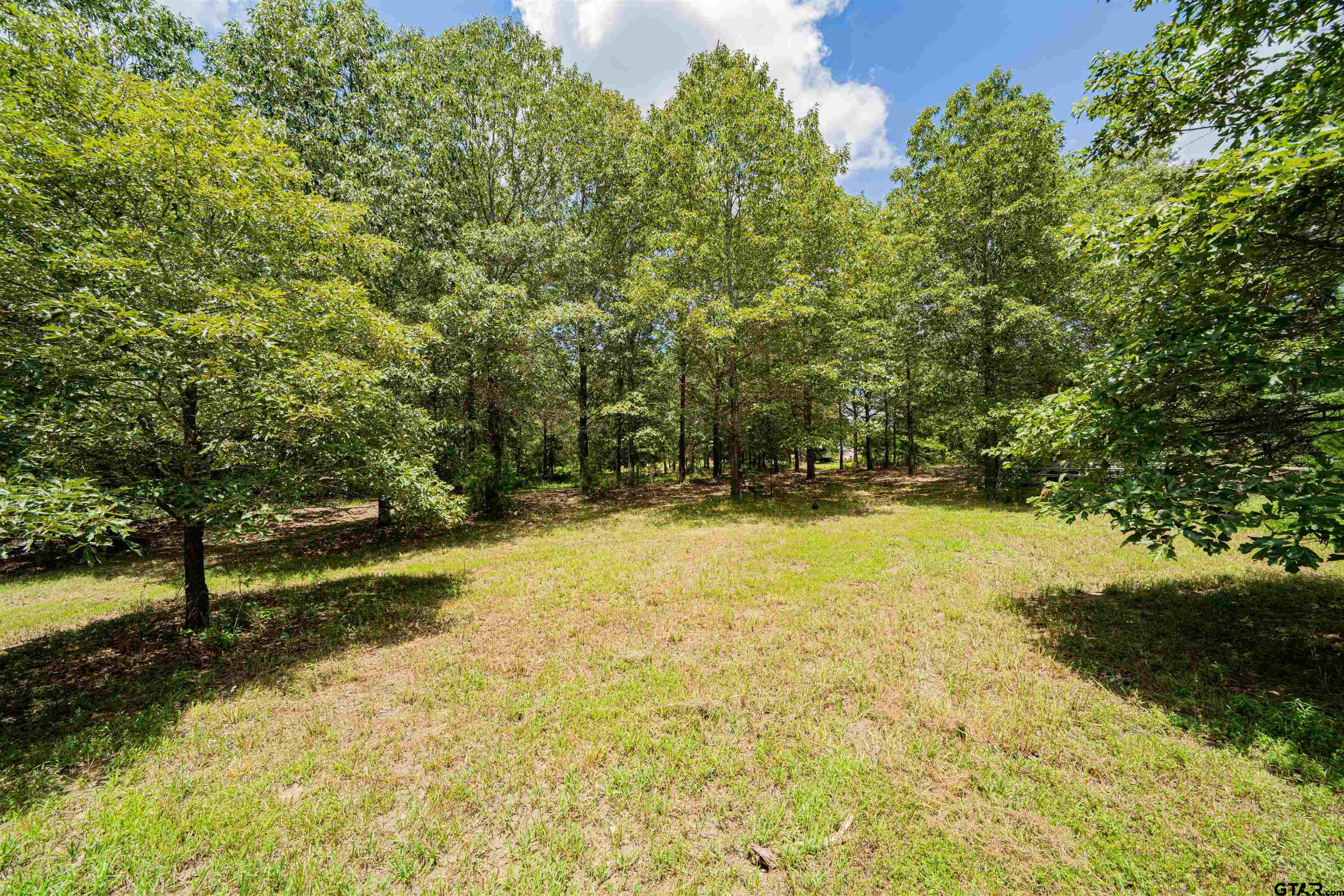 4510 Cr 2010 Mount Mount Vernon, TX 75457 - Photo 22 of 44 a view of swimming pool with large trees and plants