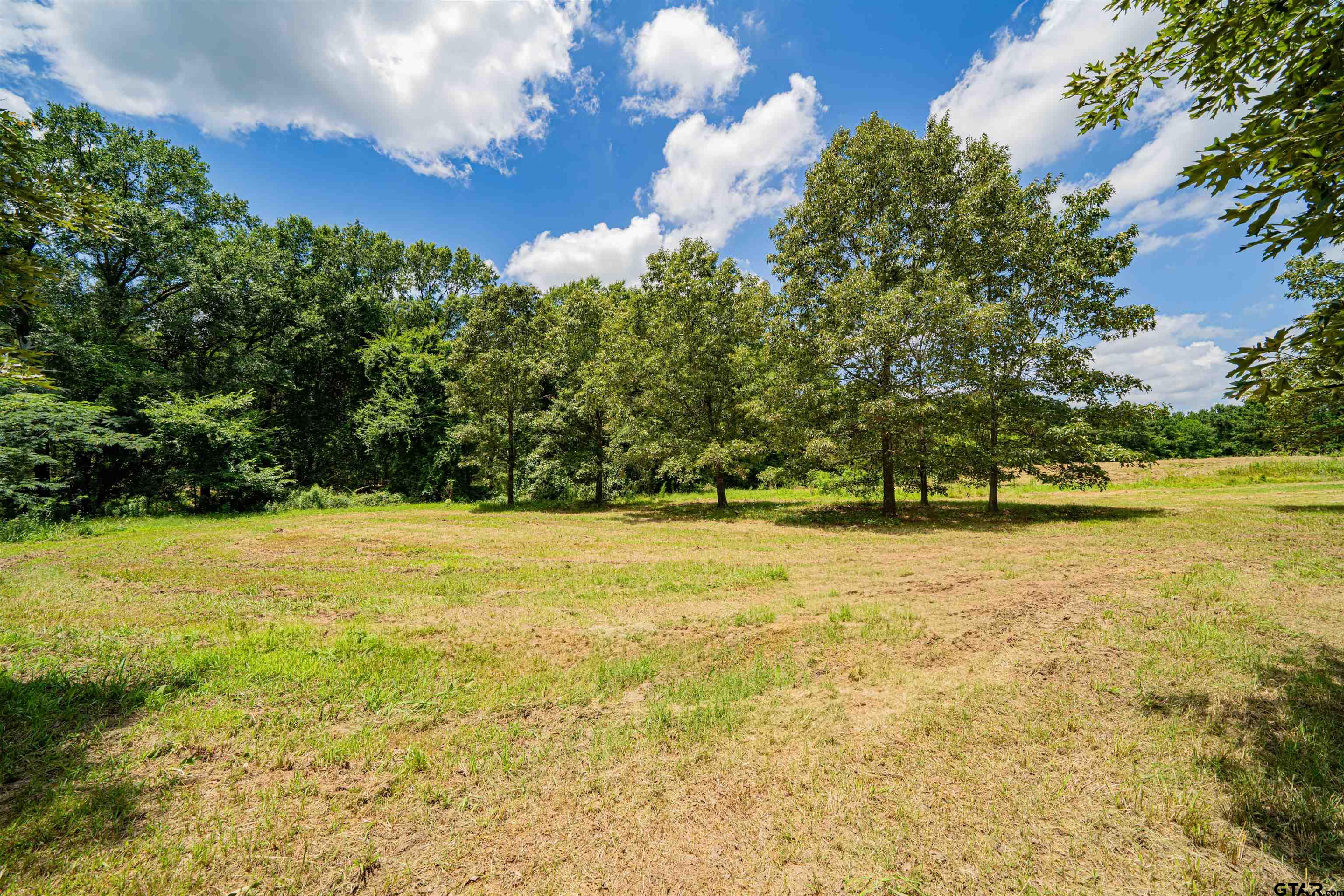 4510 Cr 2010 Mount Mount Vernon, TX 75457 - Photo 23 of 44