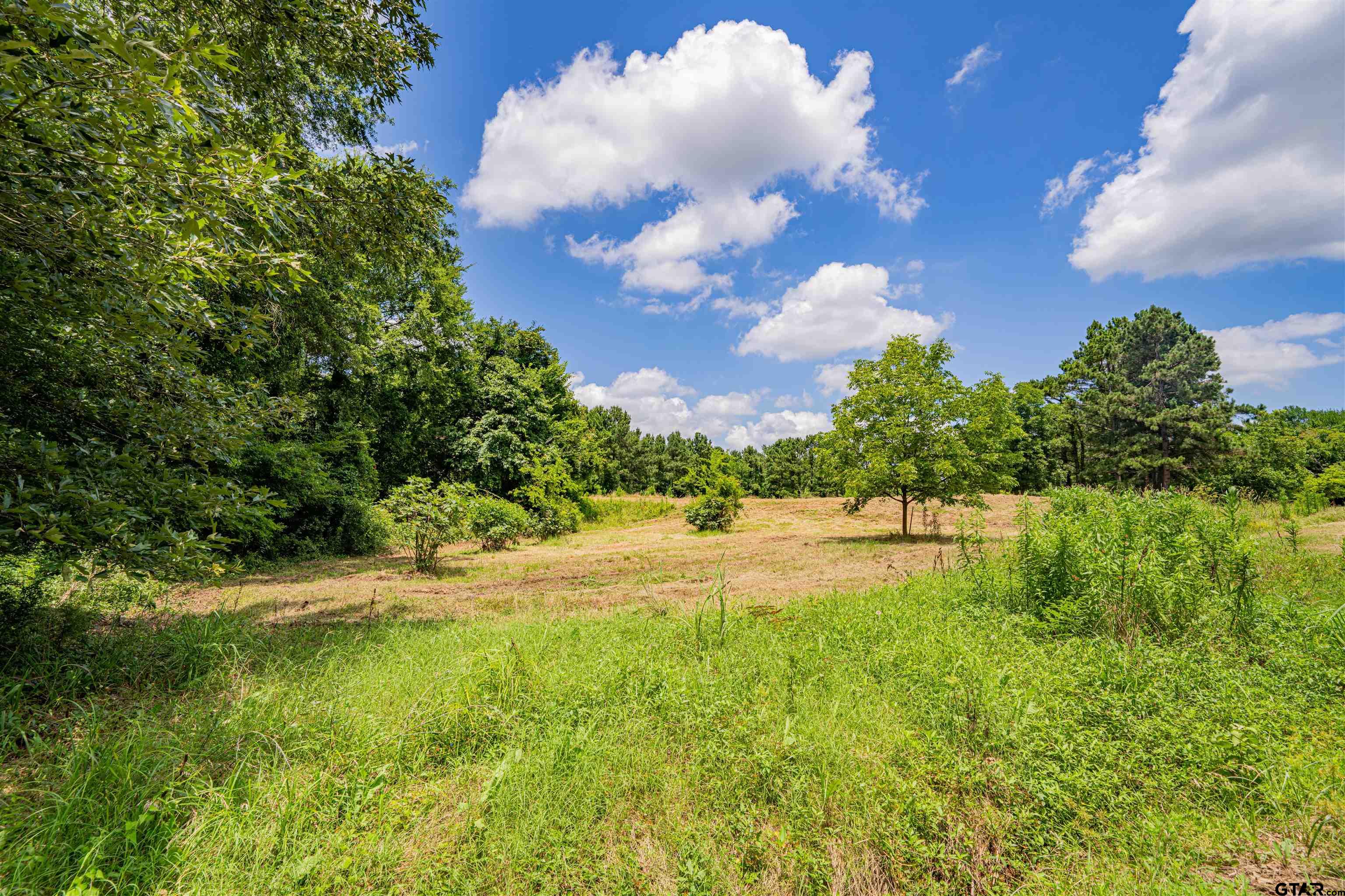 4510 Cr 2010 Mount Mount Vernon, TX 75457 - Photo 24 of 44 a view of a lake view