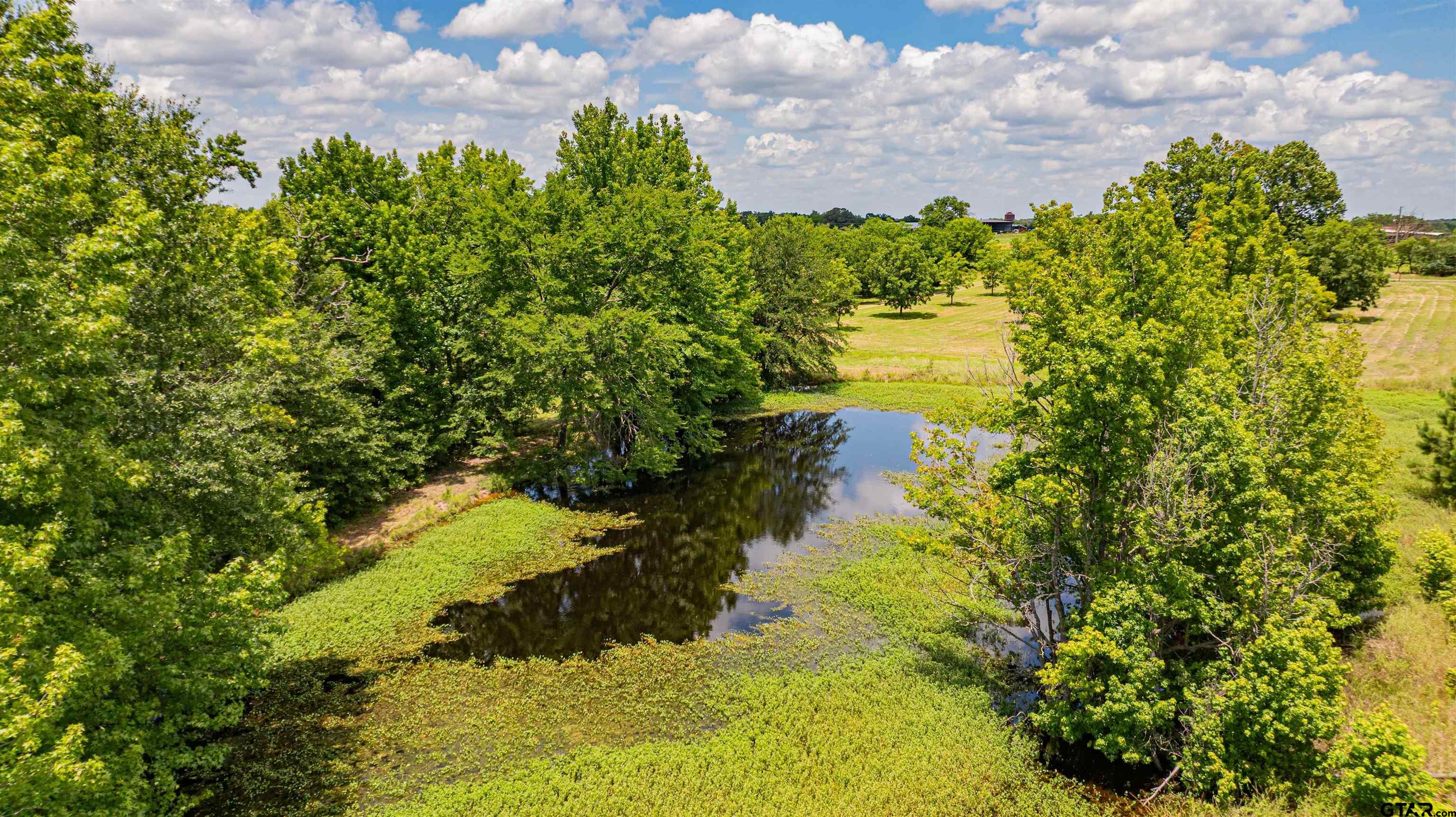 4510 Cr 2010 Mount Mount Vernon, TX 75457 - Photo 28 of 44 a view of a lake with a house