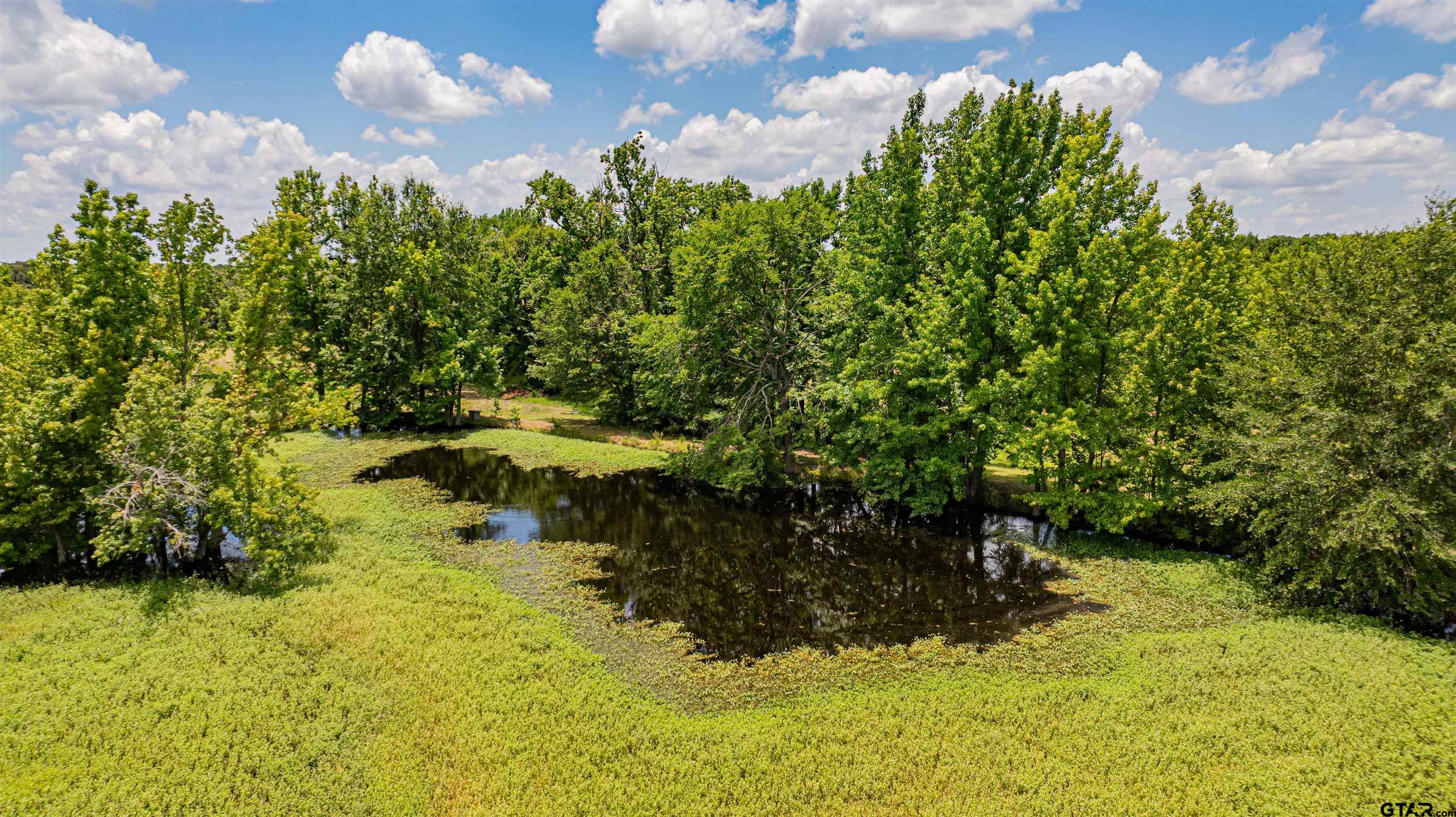 4510 Cr 2010 Mount Mount Vernon, TX 75457 - Photo 29 of 44 a view of a garden with a bench