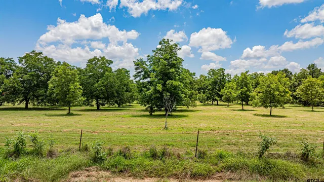 an aerial view of residential houses with outdoor space and trees all around