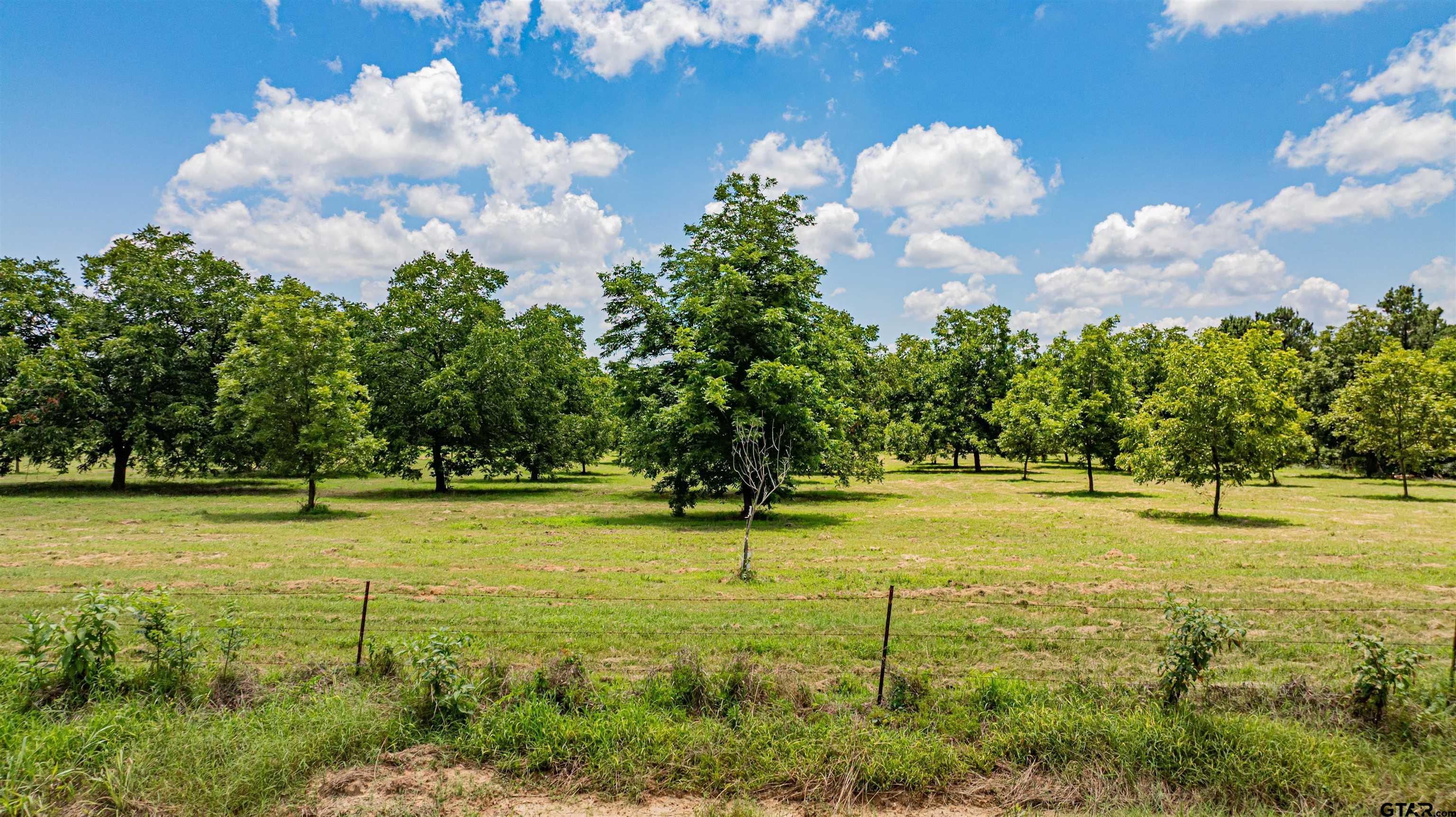 4510 Cr 2010 Mount Mount Vernon, TX 75457 - Photo 31 of 44 a view of a golf course with a lake
