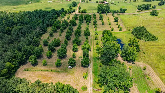 a view of a garden with a building