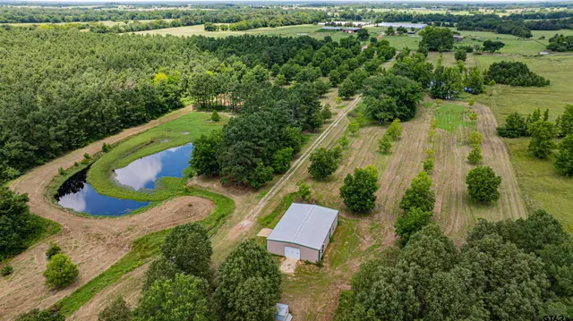 a view of a yard with plants and large trees